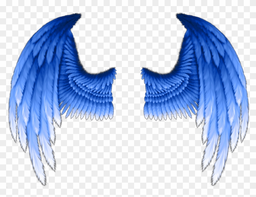 Detail Blue Angel Wings Png Nomer 8