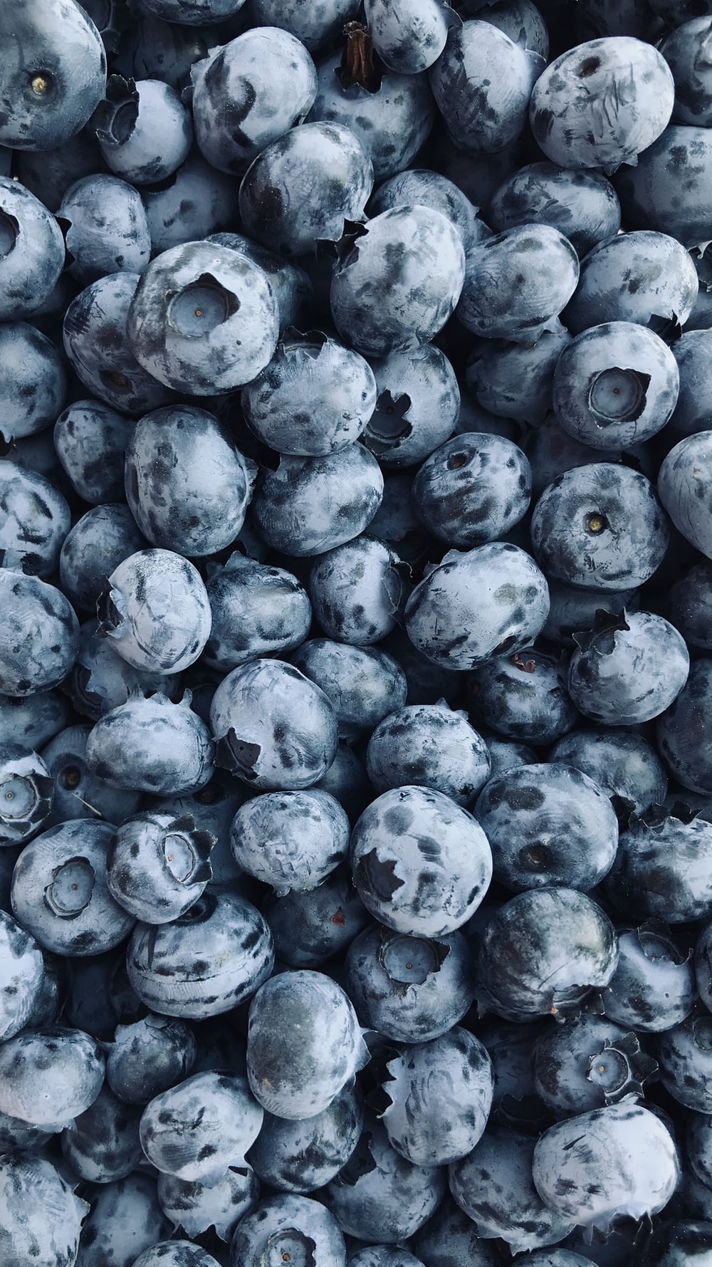 Blue Berry Wallpaper - KibrisPDR
