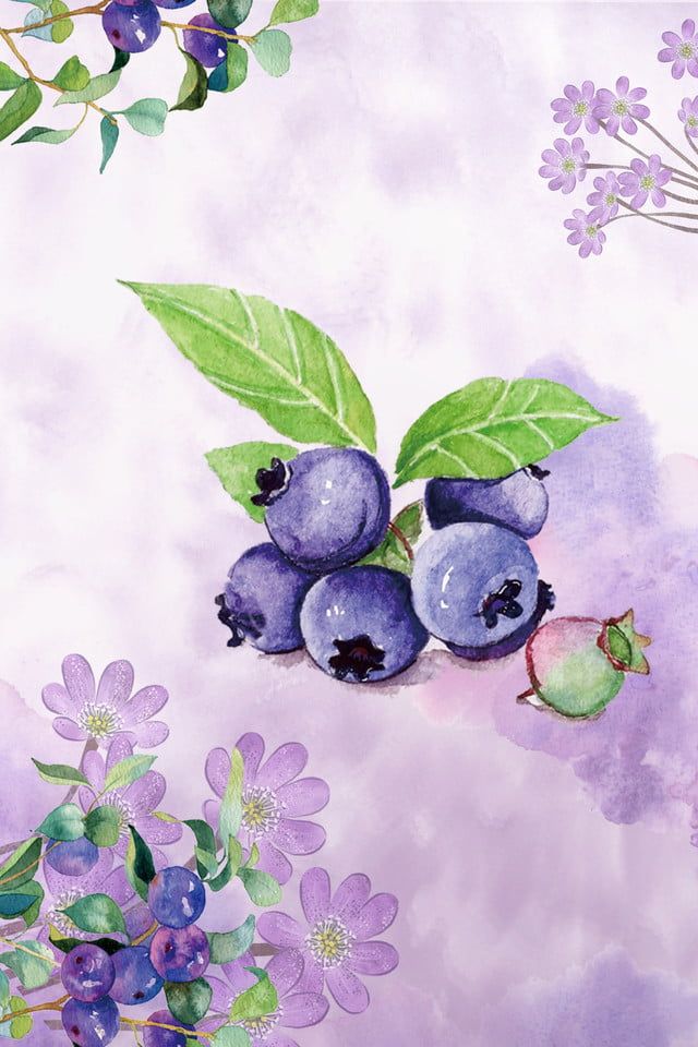 Detail Blue Berry Wallpaper Nomer 55