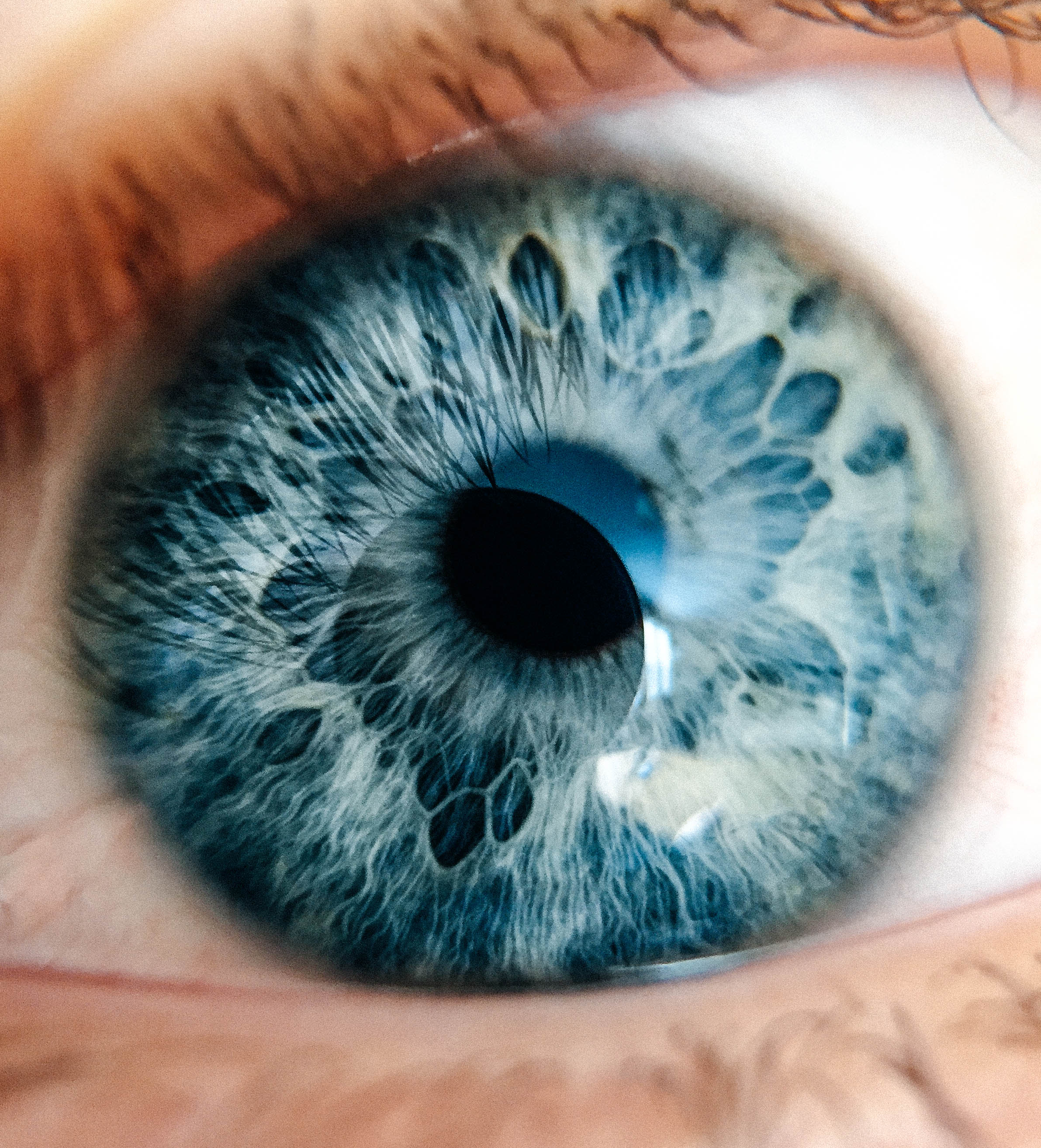 Detail Blue Eye Macro Nomer 43