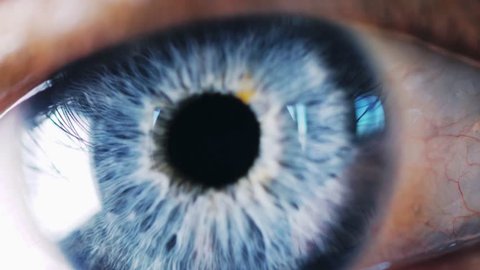 Detail Blue Eye Macro Nomer 45