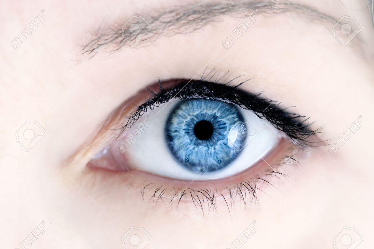 Detail Blue Eye Macro Nomer 49