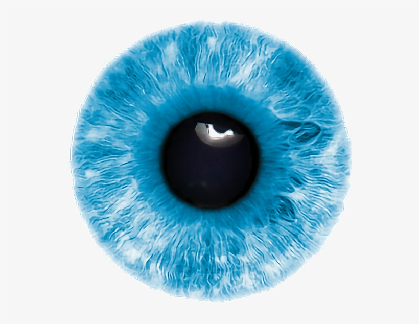 Detail Blue Eye Png Nomer 5