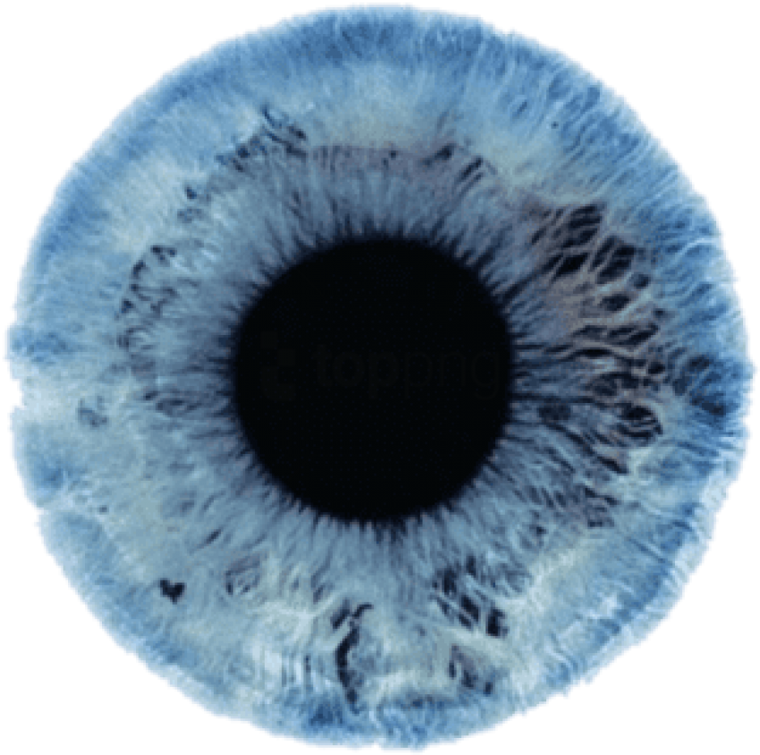 Detail Blue Eyes Png Nomer 7