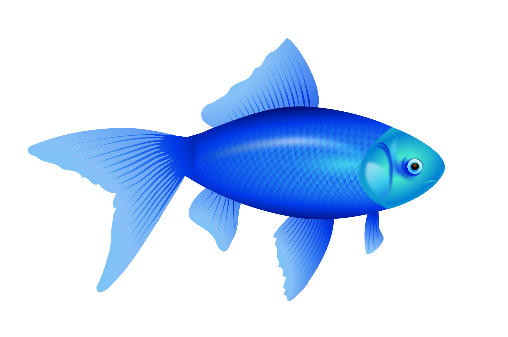 Detail Blue Fish Image Nomer 19