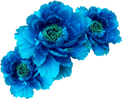 Detail Blue Flower Crown Png Nomer 31