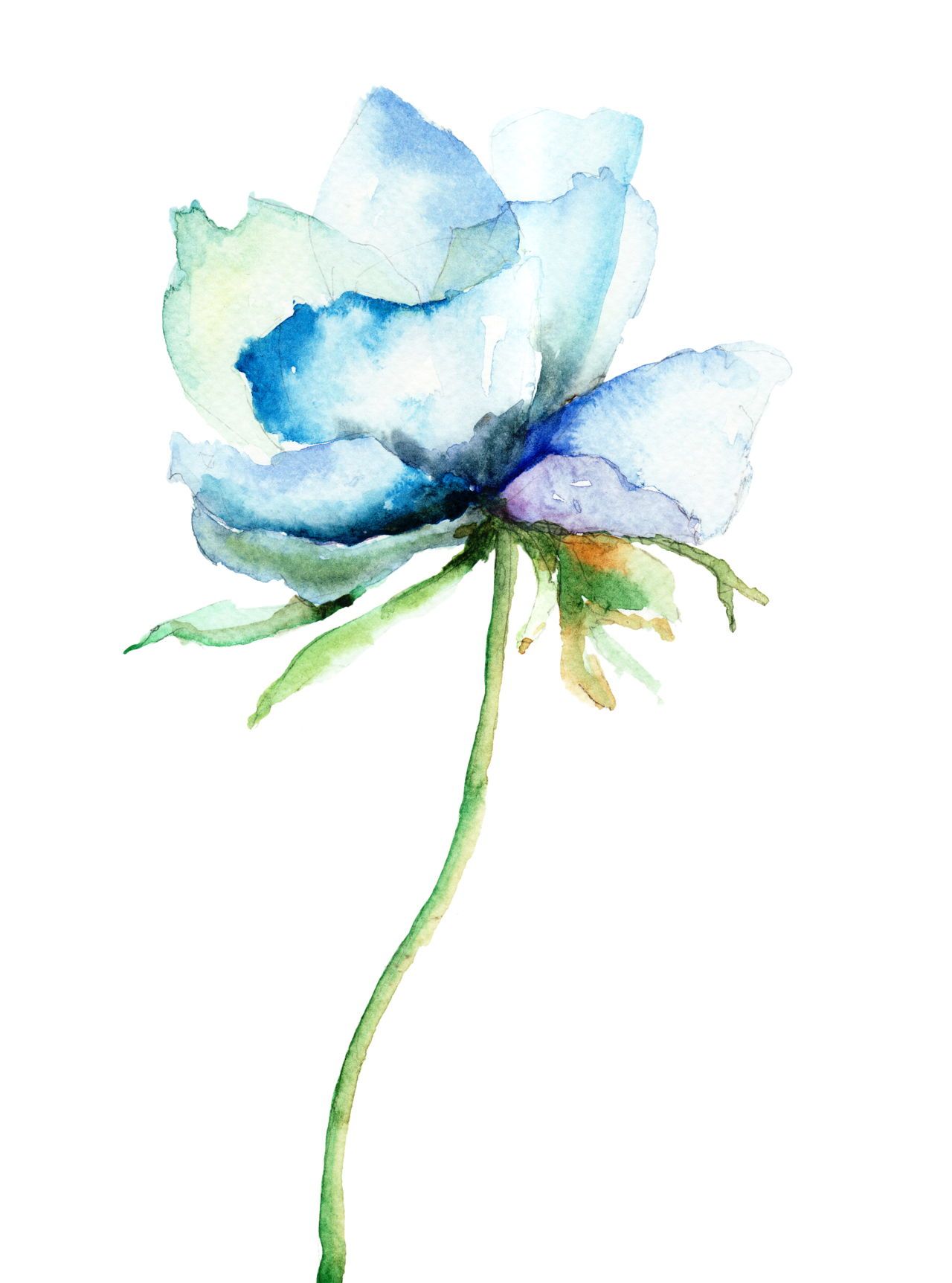 Detail Blue Flower Watercolor Nomer 12