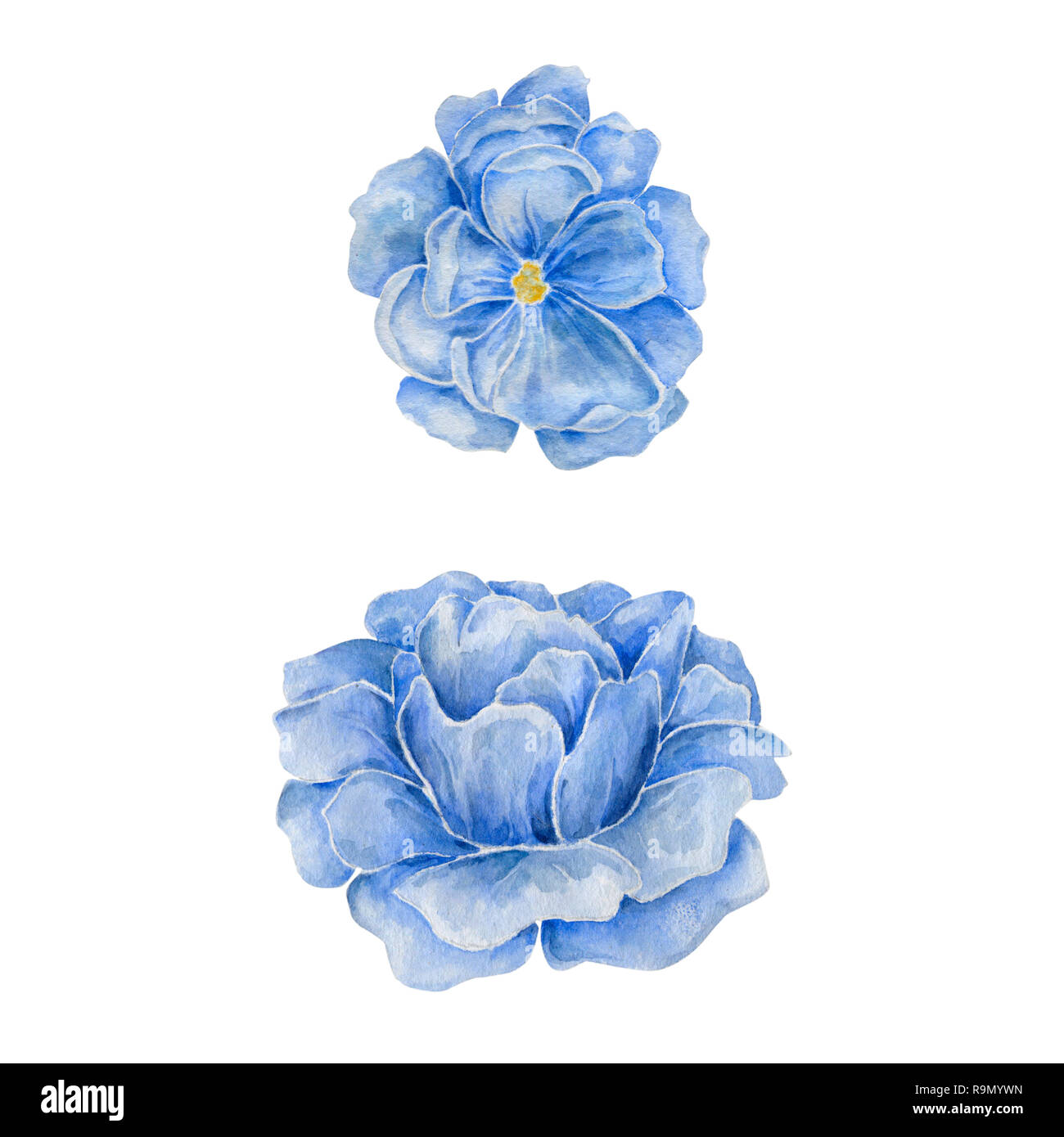 Detail Blue Flower Watercolor Nomer 47