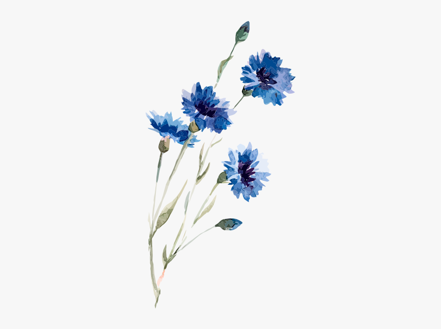 Detail Blue Flower Watercolor Png Nomer 3