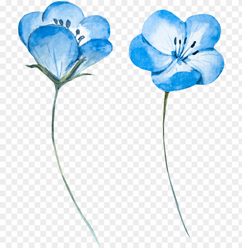 Detail Blue Flower Watercolor Png Nomer 42