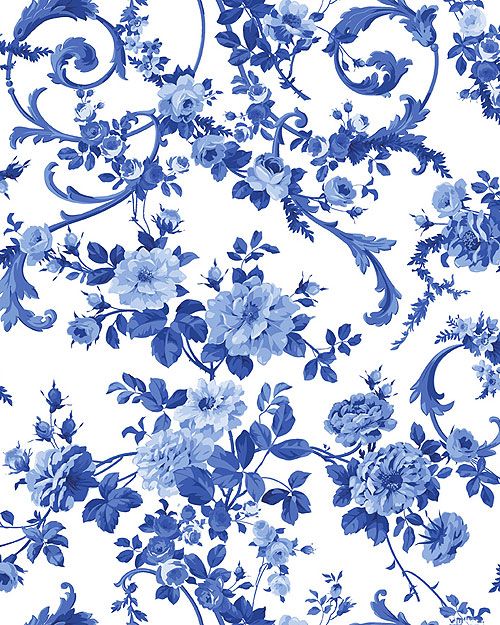 Detail Blue Flower White Background Nomer 24