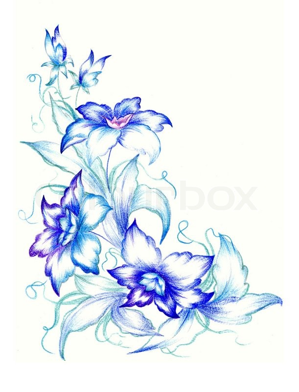 Detail Blue Flower White Background Nomer 26