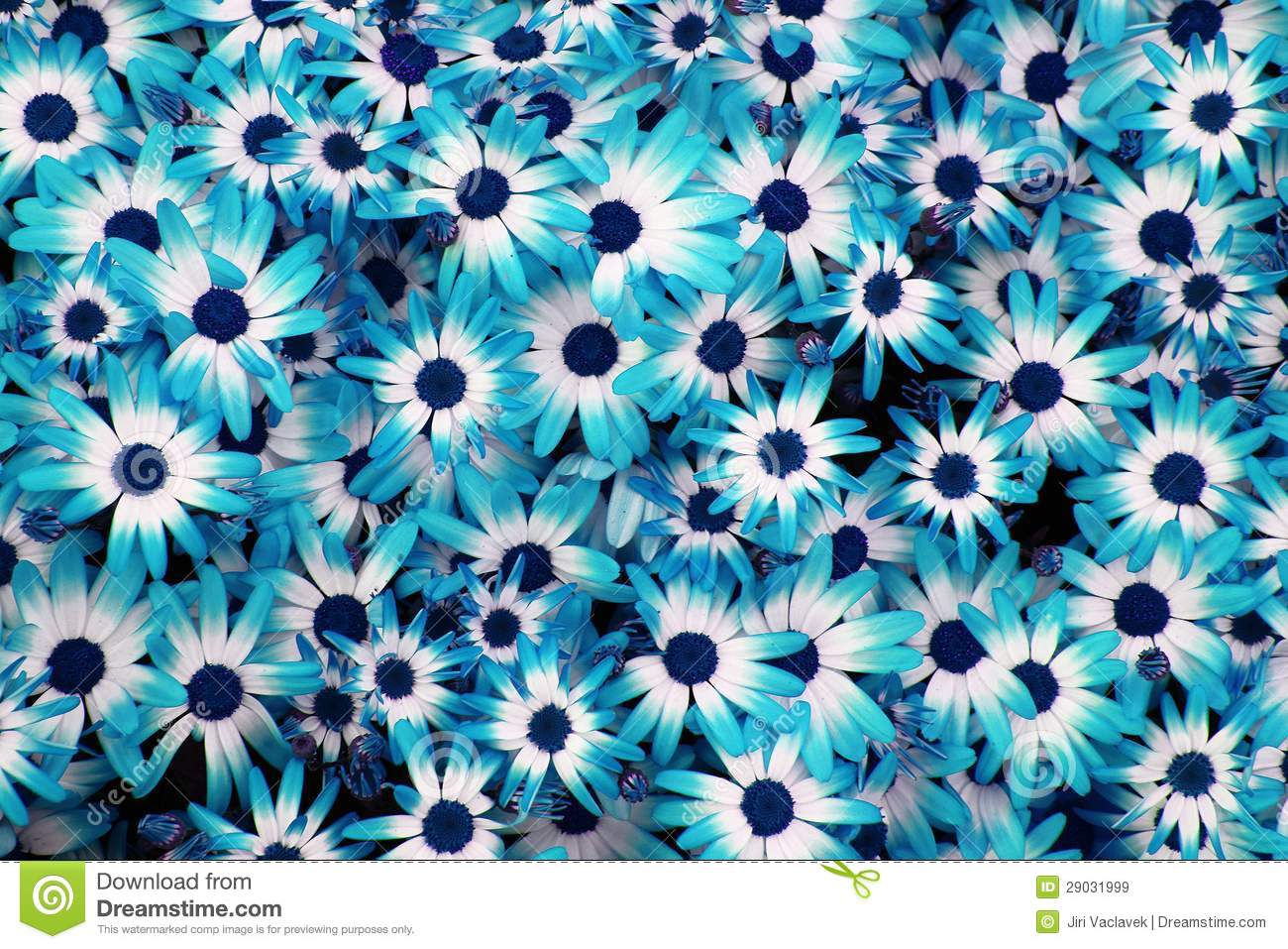 Detail Blue Flowers Tumblr Nomer 45