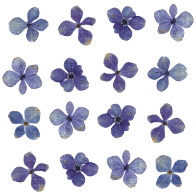 Detail Blue Flowers Tumblr Nomer 54