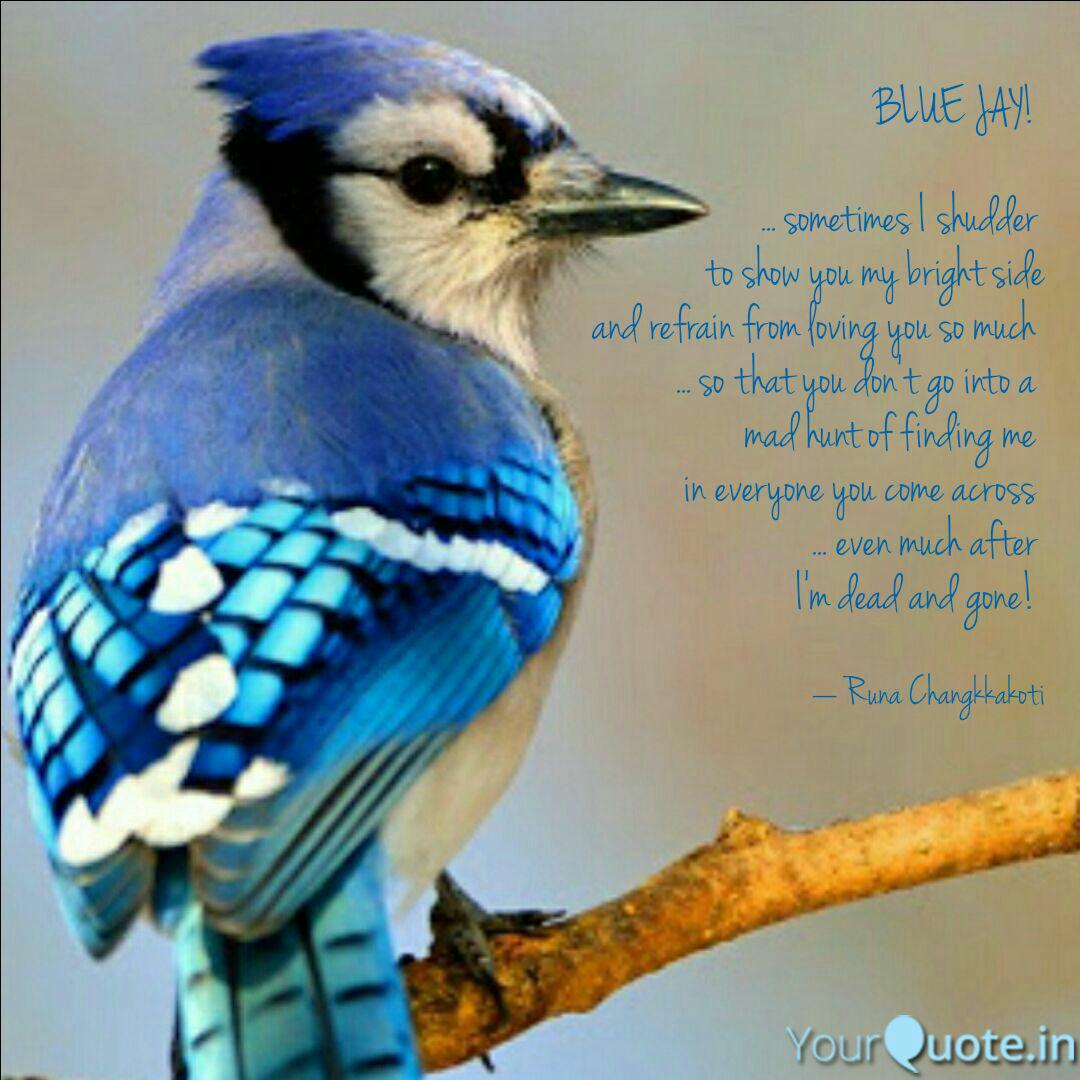 Detail Blue Jay Quotes Nomer 15