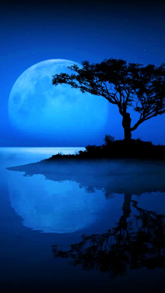 Detail Blue Moon Hd Wallpaper Nomer 16