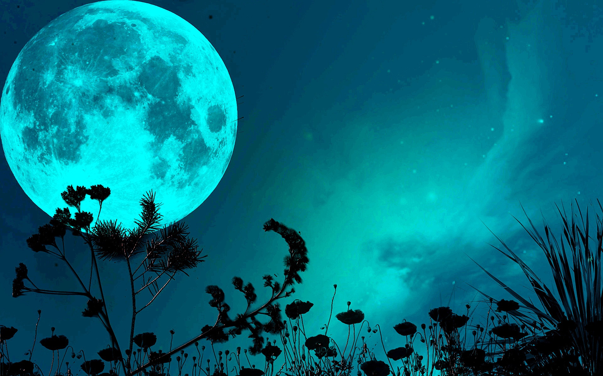 Detail Blue Moon Hd Wallpaper Nomer 30