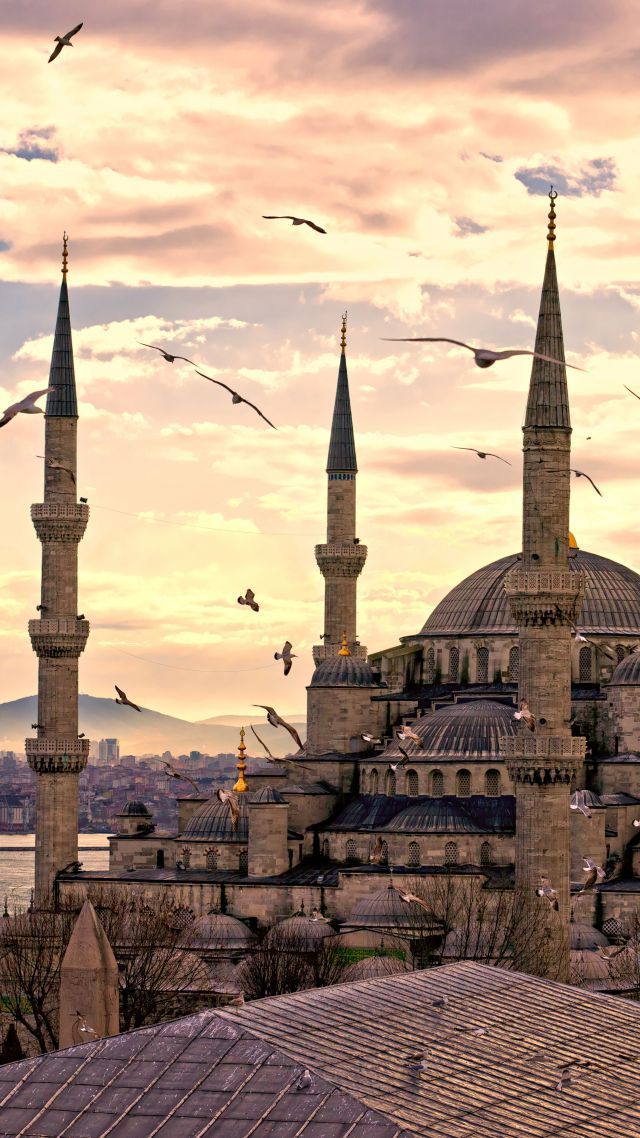 Detail Blue Mosque Wallpaper Nomer 30