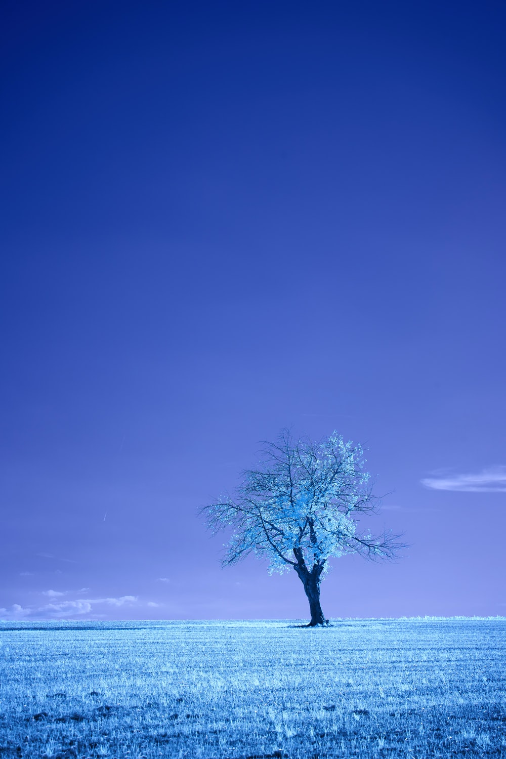Detail Blue Nature Wallpaper Hd Koleksi Nomer 53