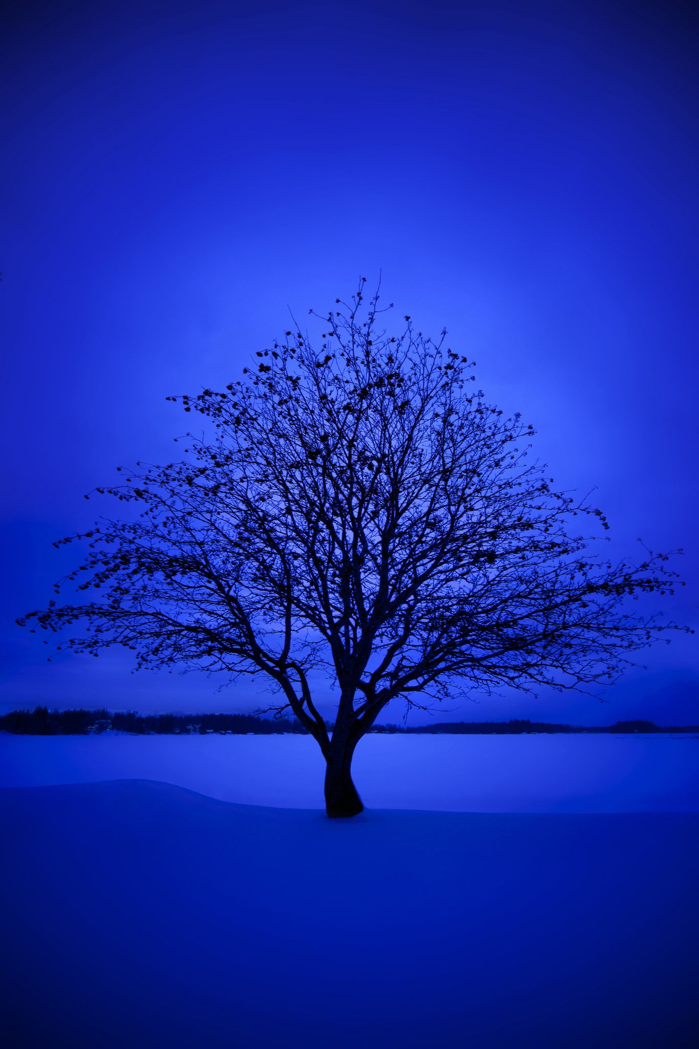 Detail Blue Nature Wallpaper Hd Koleksi Nomer 7