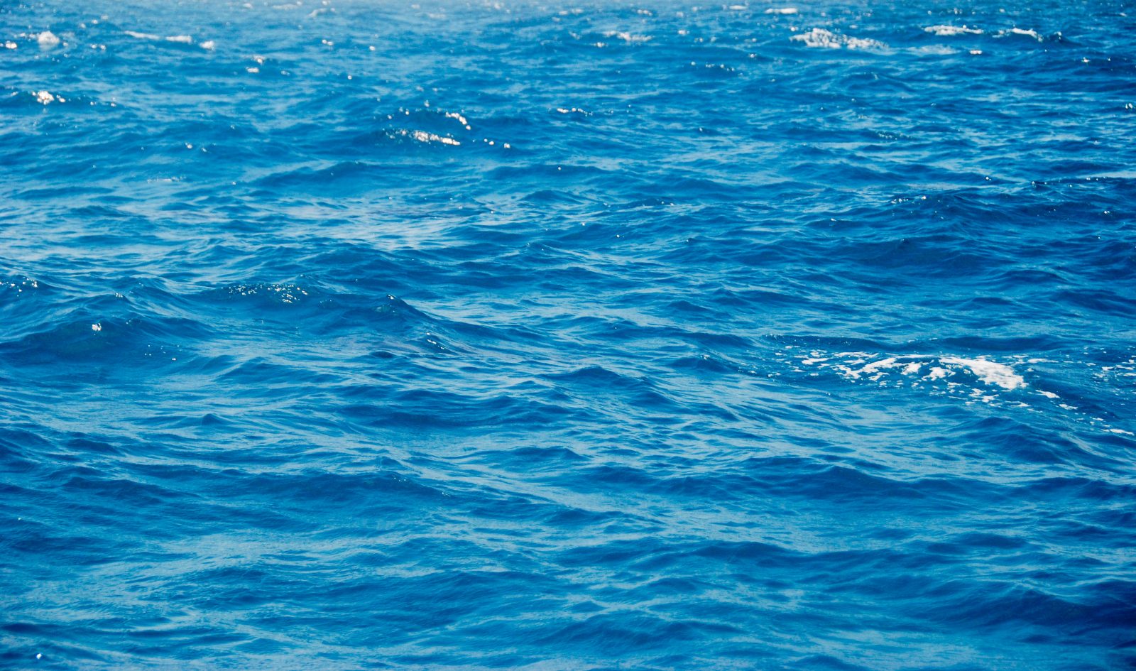 Detail Blue Ocean Background Nomer 46