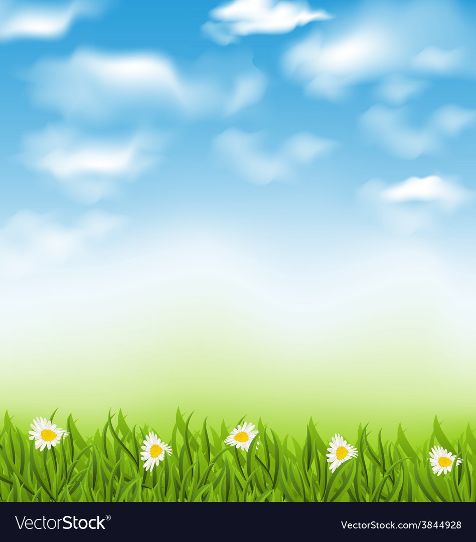 Detail Blue Sky Vector Background Nomer 34