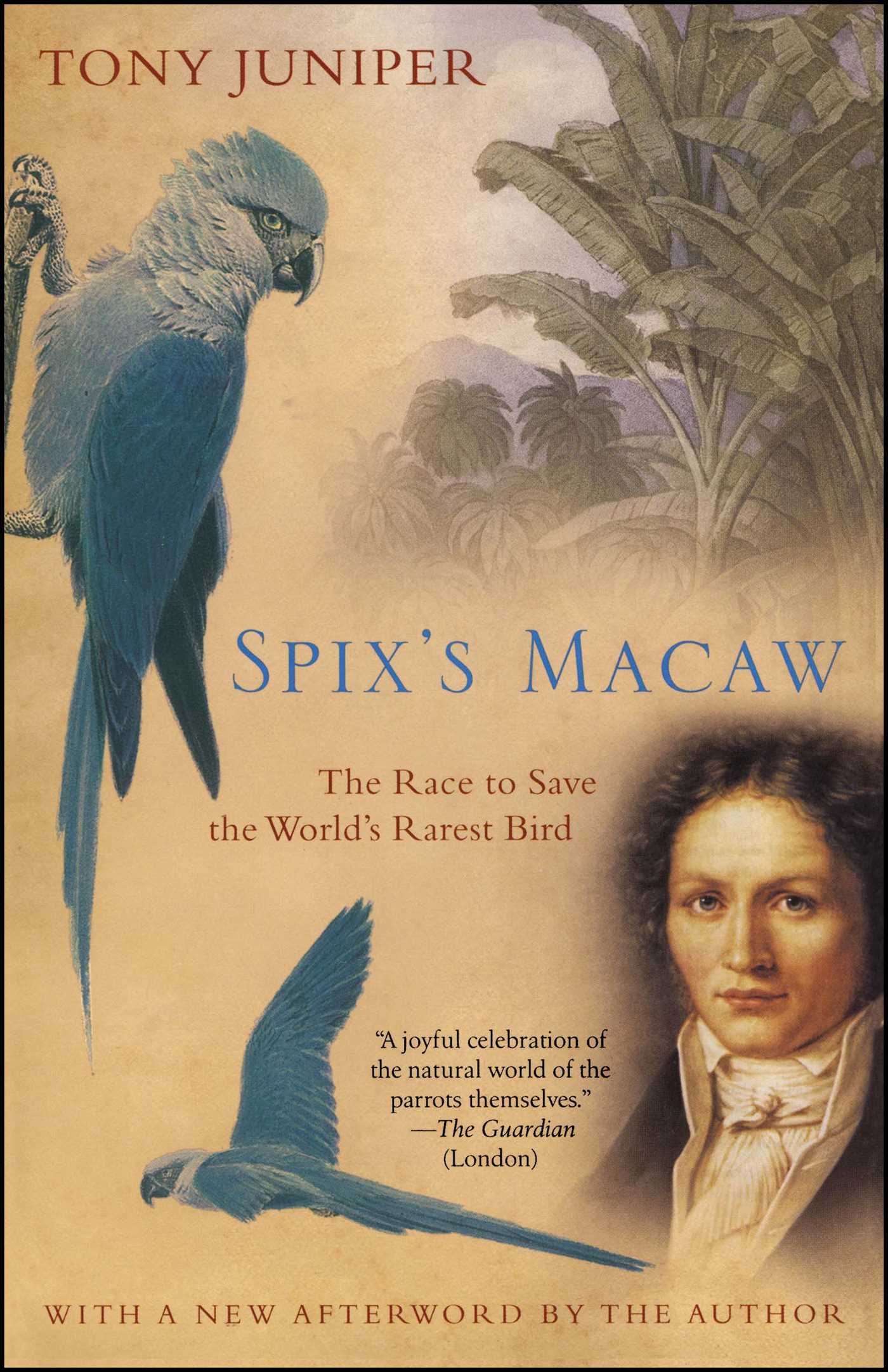 Detail Blue Spix Macaw Nomer 12