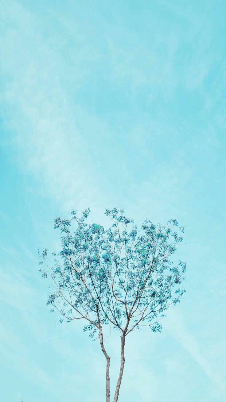 Detail Blue Wallpaper Aesthetic Nomer 42