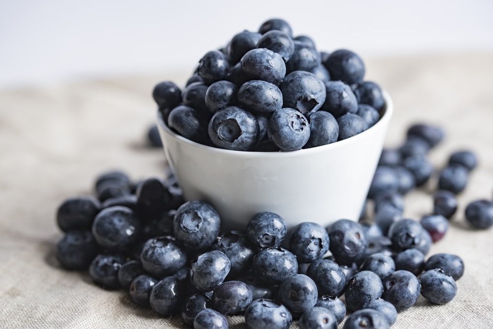 Blueberries Images Free - KibrisPDR