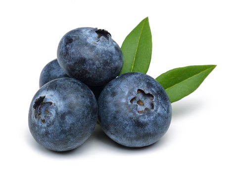 Detail Blueberries Images Free Nomer 2