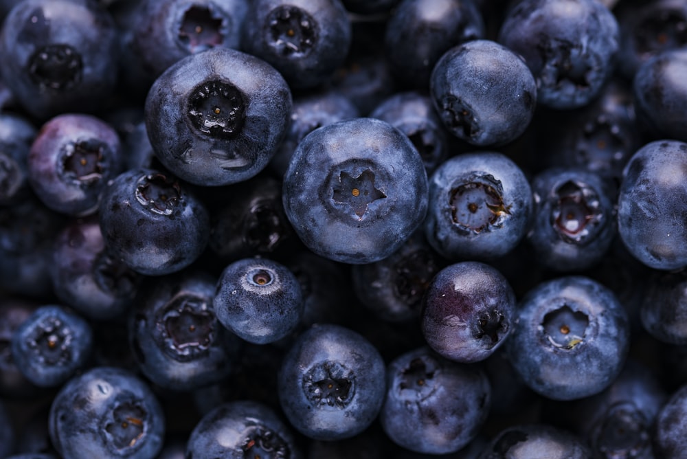 Detail Blueberries Images Free Nomer 12