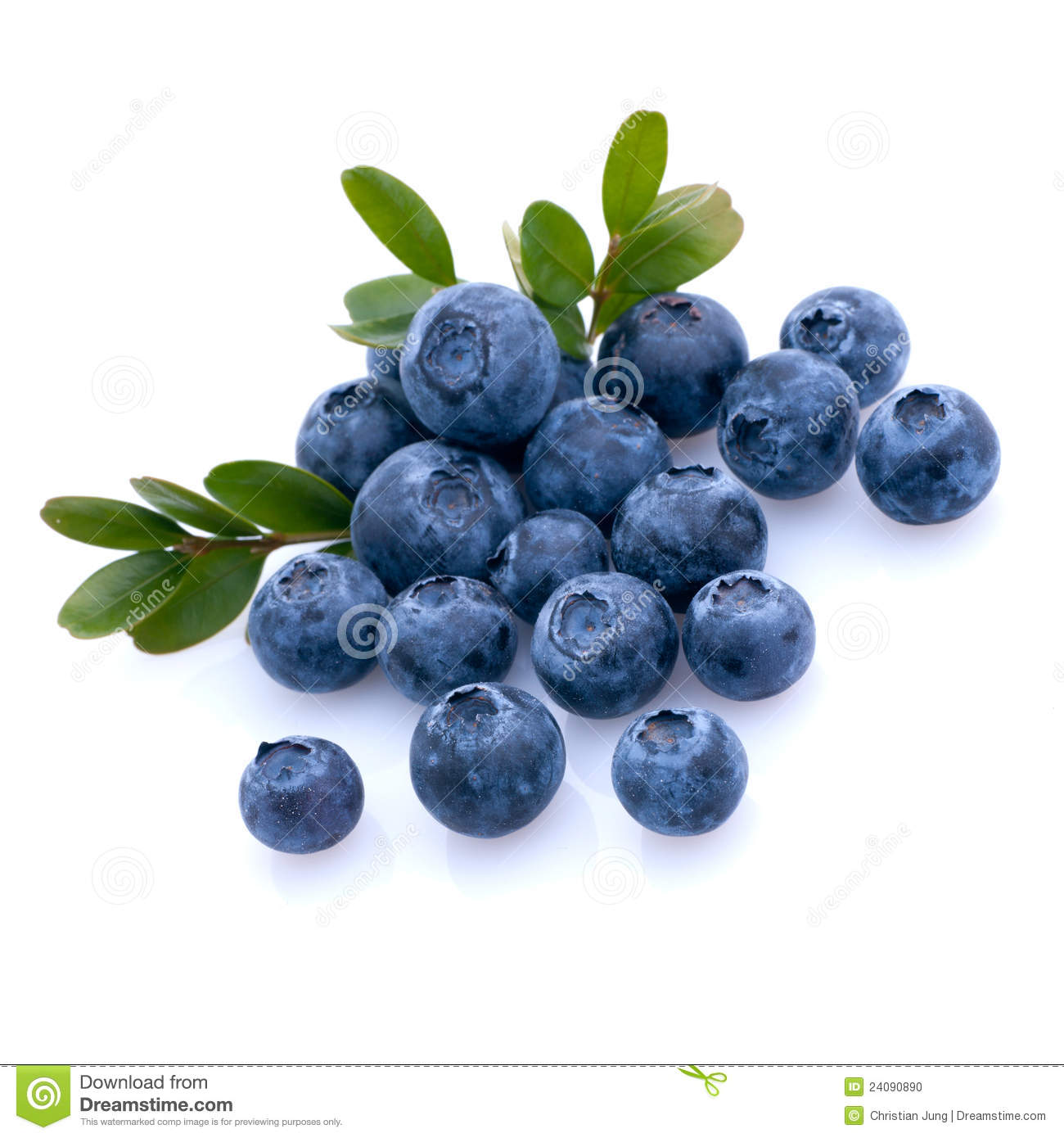 Detail Blueberries Images Free Nomer 13