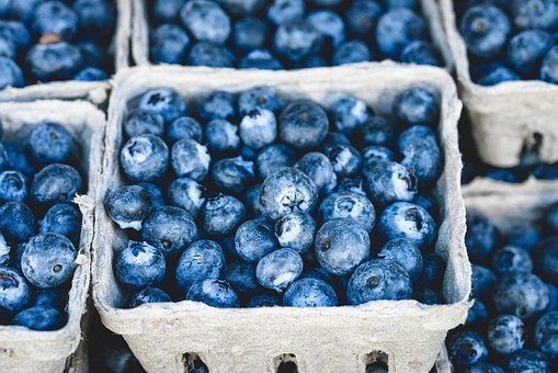 Detail Blueberries Images Free Nomer 14