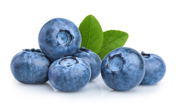 Detail Blueberries Images Free Nomer 3