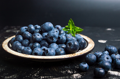 Detail Blueberries Images Free Nomer 22