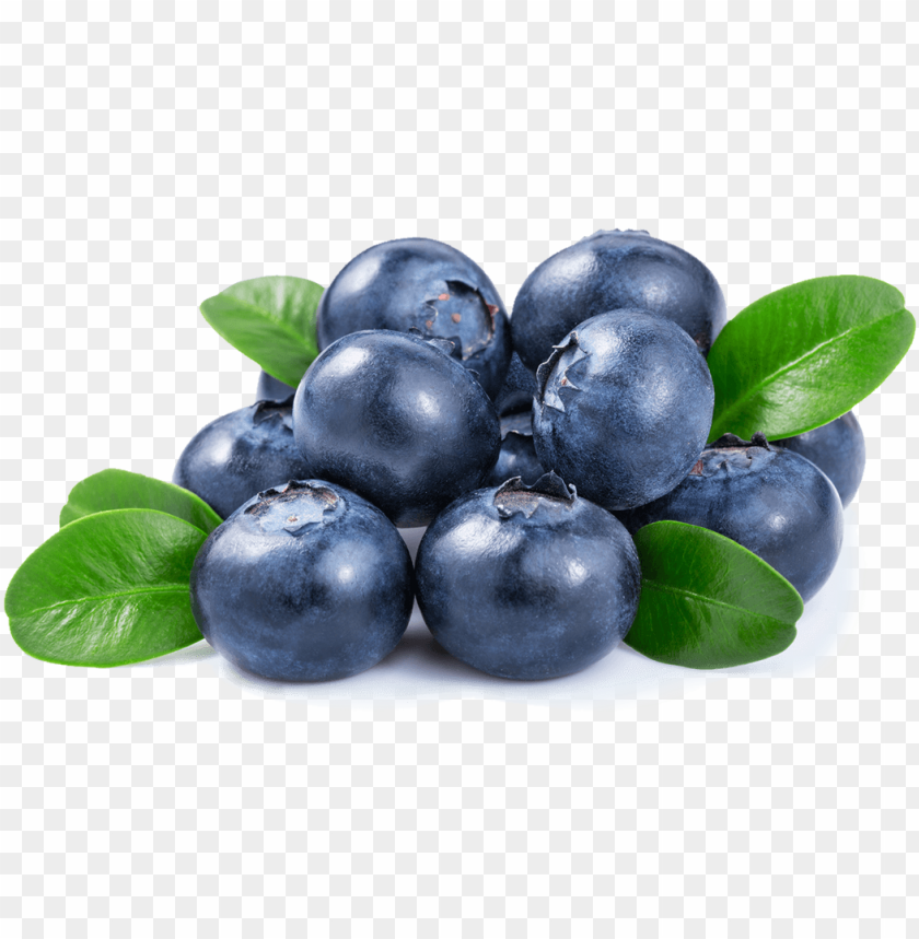 Detail Blueberries Images Free Nomer 23