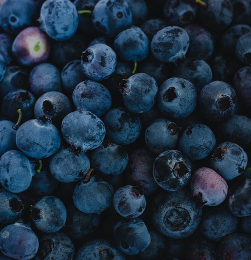 Detail Blueberries Images Free Nomer 24