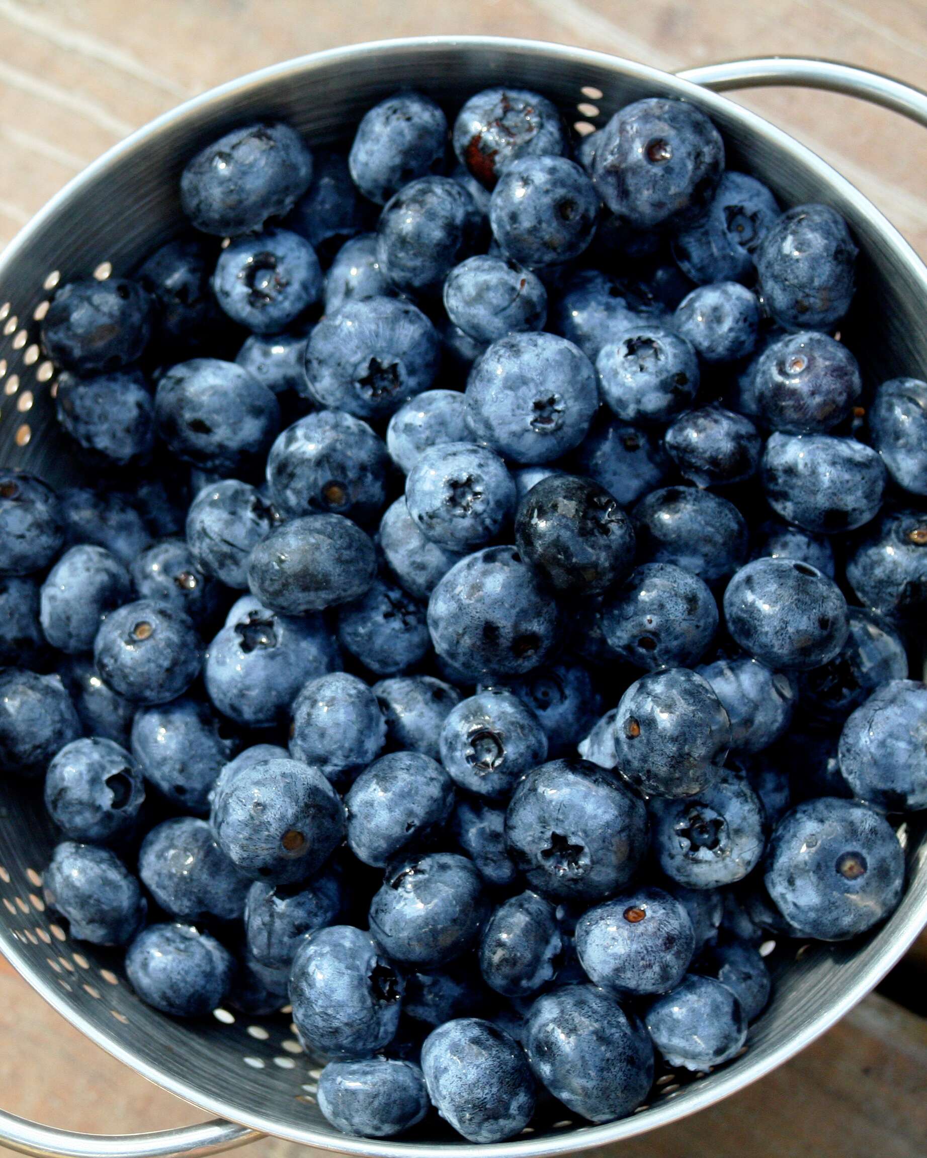 Detail Blueberries Images Free Nomer 25