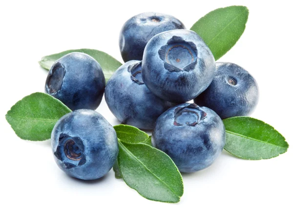 Detail Blueberries Images Free Nomer 27
