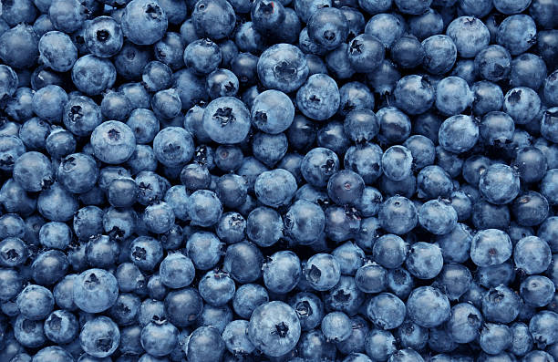 Detail Blueberries Images Free Nomer 4