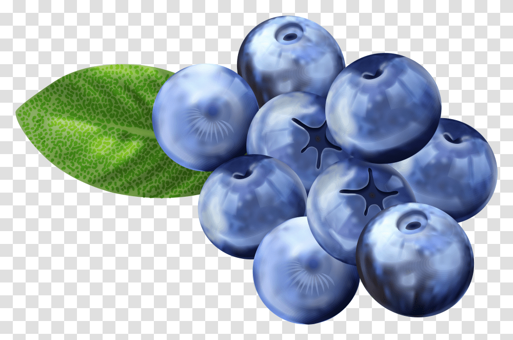 Detail Blueberries Images Free Nomer 30