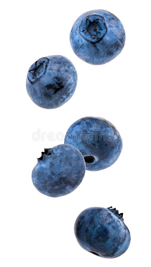Detail Blueberries Images Free Nomer 31