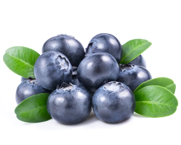 Detail Blueberries Images Free Nomer 32