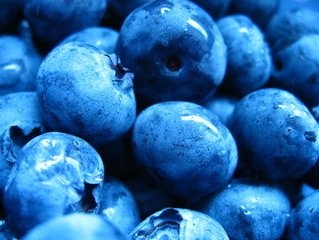 Detail Blueberries Images Free Nomer 33