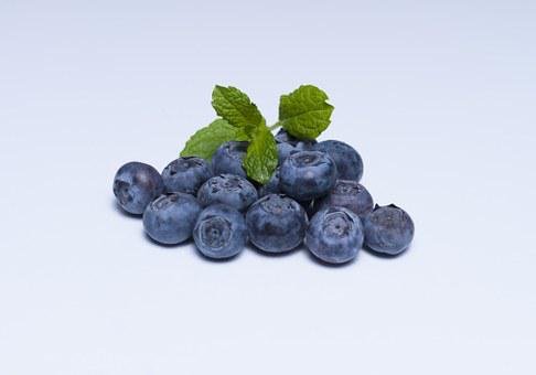 Detail Blueberries Images Free Nomer 40