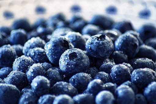 Detail Blueberries Images Free Nomer 42
