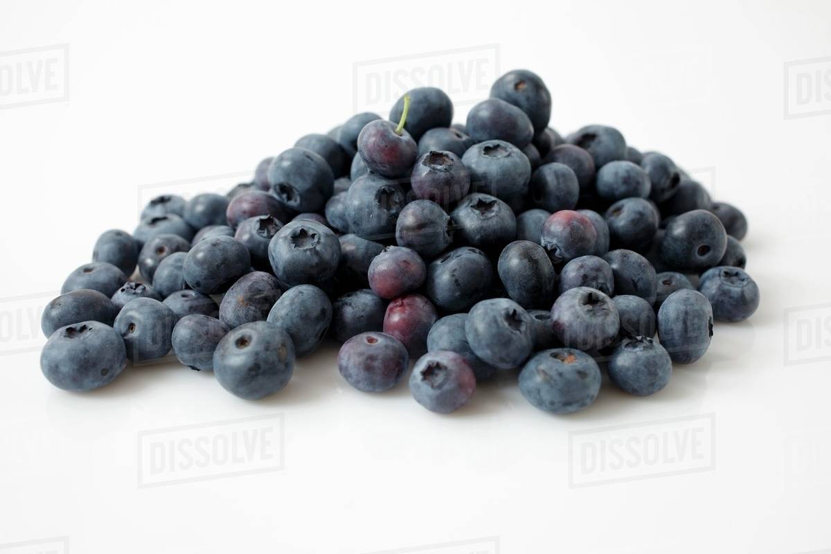 Detail Blueberries Images Free Nomer 56