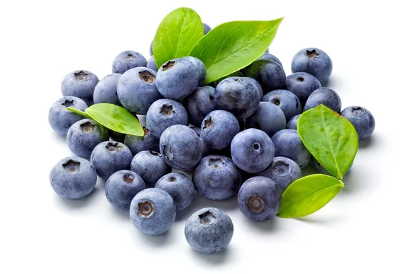 Detail Blueberries Images Free Nomer 9