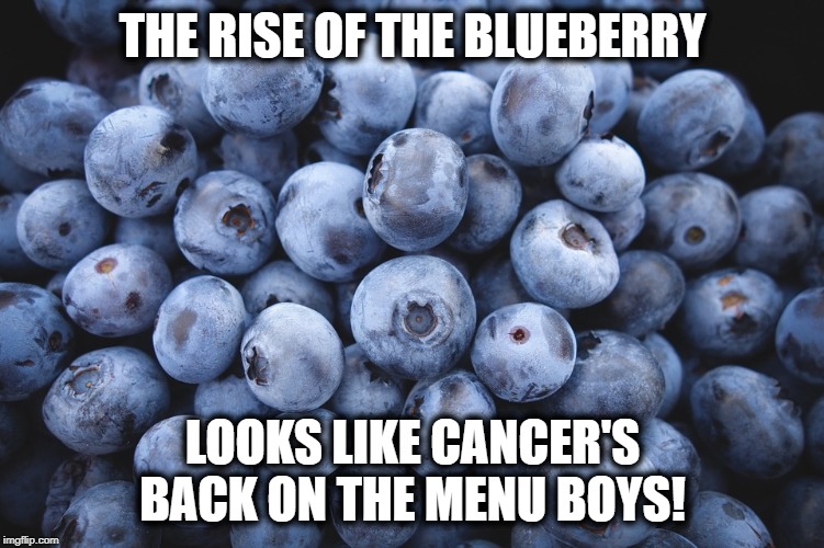 Detail Blueberries Meme Nomer 3