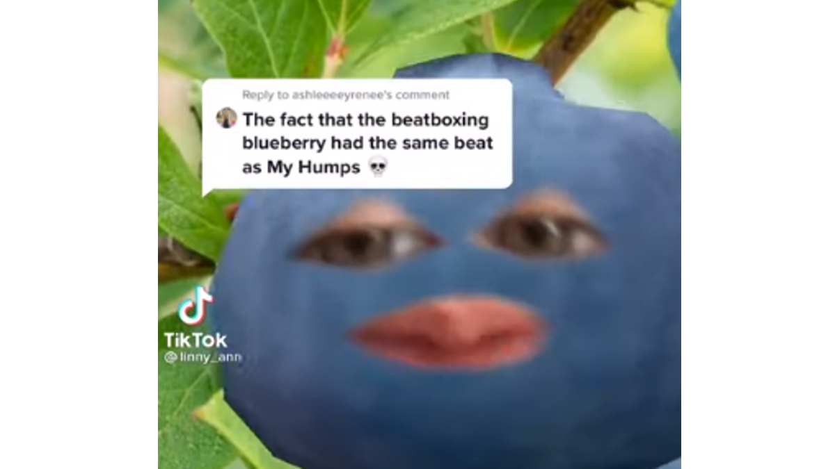 Detail Blueberries Meme Nomer 5